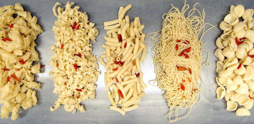 gast m&uuml;nchen | gasteig